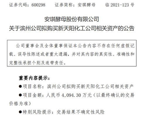 安琪酵母子公司擬購入新天陽化工相關(guān)資產(chǎn) 進(jìn)一步優(yōu)化產(chǎn)業(yè)布局