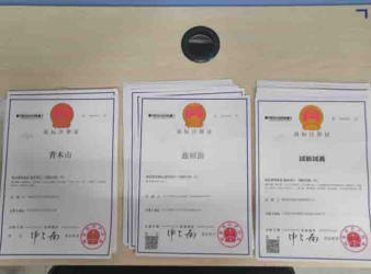 注冊公司 代理記賬公司注冊提供個體戶注冊、內(nèi)資公司注冊服務(wù)